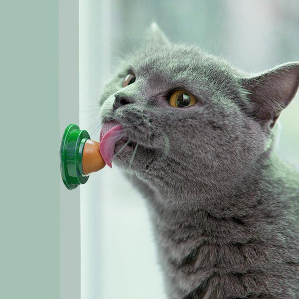 Healthy Cat Catnip Sugar Cats Snacks Licking Candy Nutrition Energy Ball Toys for Cat Kitten Playing Pet Cat Products Hot Sale