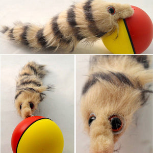 NEW  Pet Toys Funny Moving Attractive Electric Beaver Rolling Ball Pet Dog Cat Toy Jump Moving Self Rolling Beaver Ball Toy