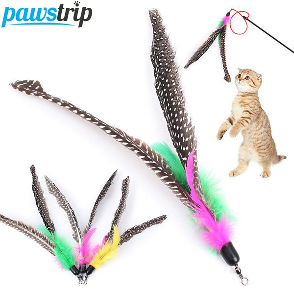 5pcs/lot Feather Refills Cat Toys Replacement Head 20cm Long Feather Cat Teaser(Without Wand)