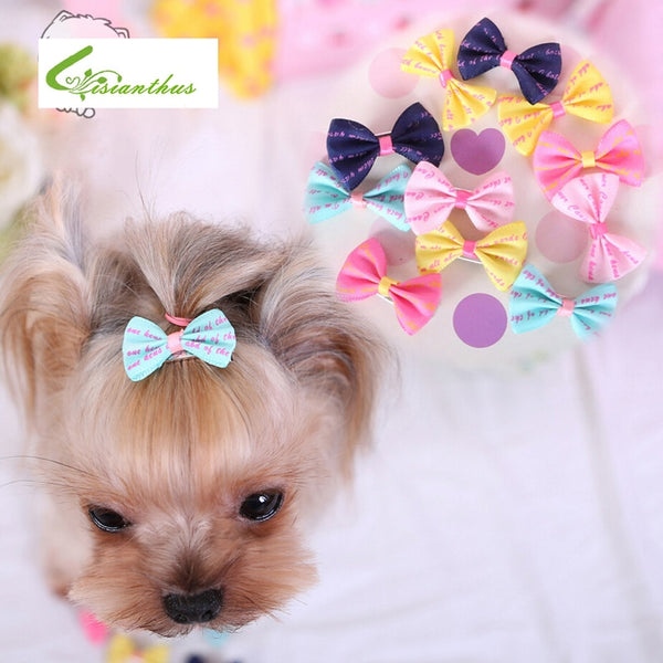 Yorkshire Terrier And Poodle Hair Accessories Handmade Pet Grooming Accessories Hair Little Flower Bows For Dogs Charms Gift