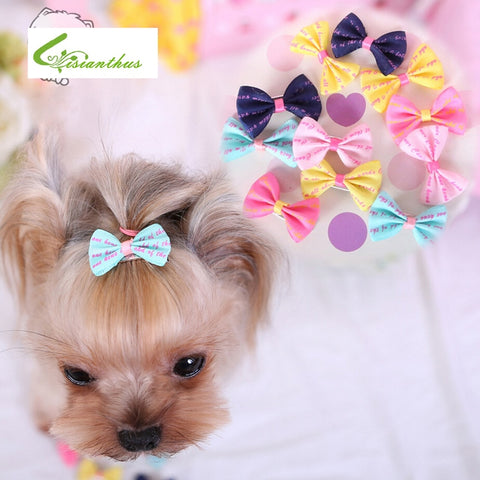 Yorkshire Terrier And Poodle Hair Accessories Handmade Pet Grooming Accessories Hair Little Flower Bows For Dogs Charms Gift