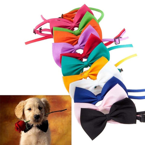 Pet Dog Cat Necklace Adjustable Strap for Cat Collar Dogs Accessories pet dog bow tie puppy bow ties dog Pet supplies